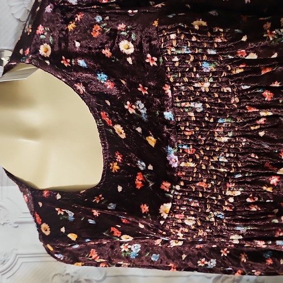 Anthropologie NWT Seen Worn Kept Floral Velvet Wine Peasant Top Medium - Picture 4 of 10